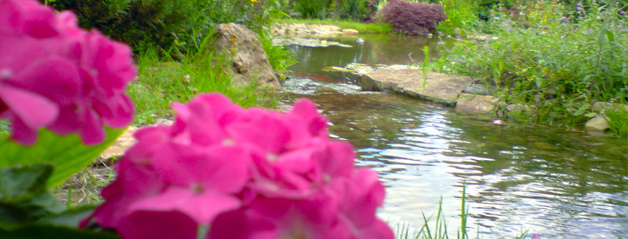 Les jardins aquatique