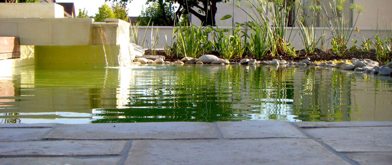 le jardin aquatique