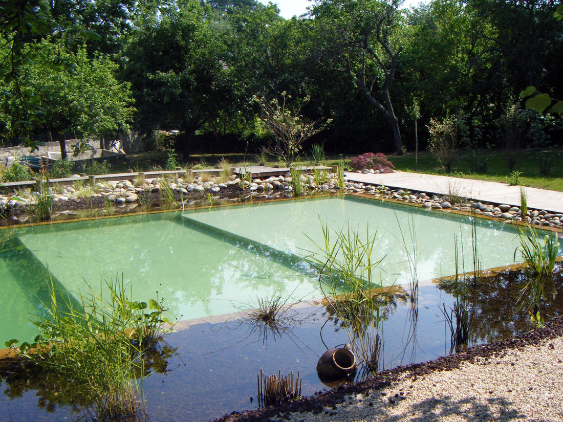 Bassin d'eau et piscine pour le baignade naturelle et écologique