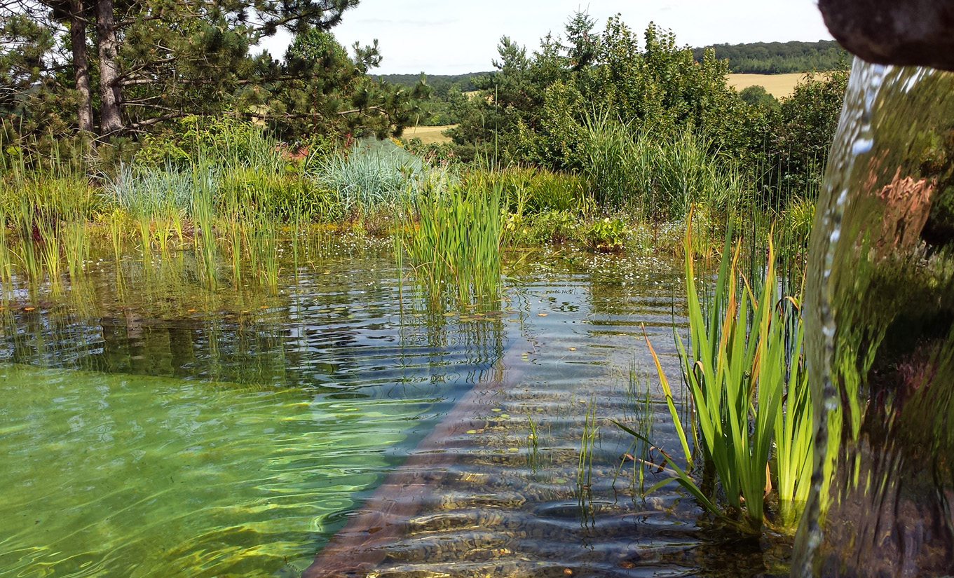 Nagez dans une eau naturelle sans aucun produit chimique.