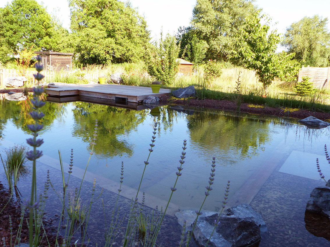 Bassin d'eau et piscine pour le baignade naturelle et écologique