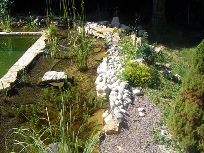 Cascades et cours d'eau pour une immersion totale dans la nature