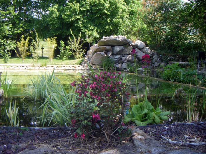 Le jardin aquatique peut s'intégrer de différentes façon dans votre jardin