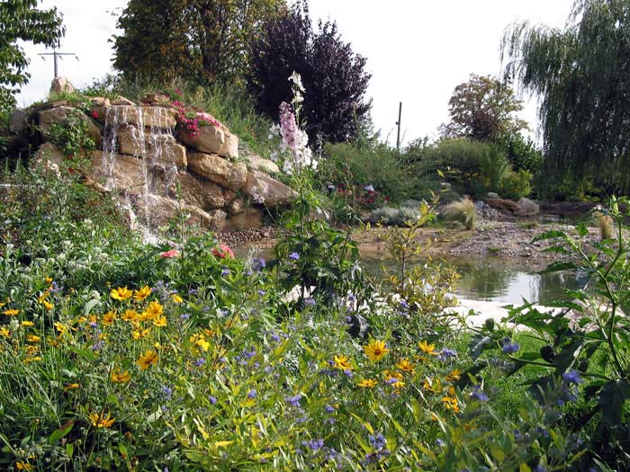Un bassin en harmonie avec votre habitation
