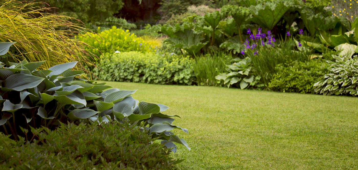 L'arrosage automatique de jardin