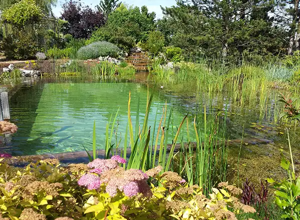 Réalisations piscines, baignade naturelle, paysagiste