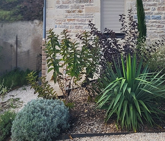 amenagements vegetaux 6