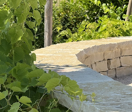 amenagements vegetaux 19