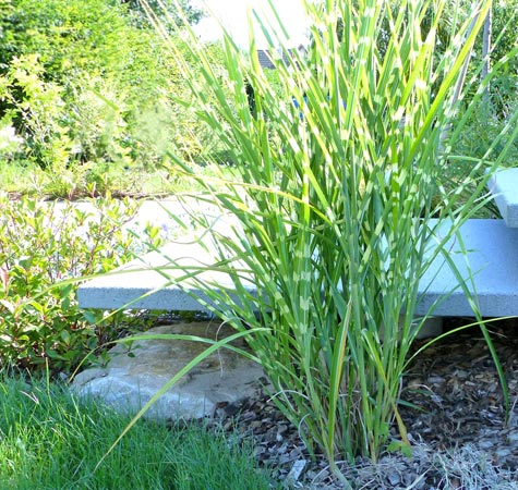 Une terrasse