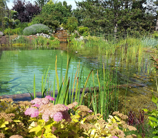Baignade naturelle