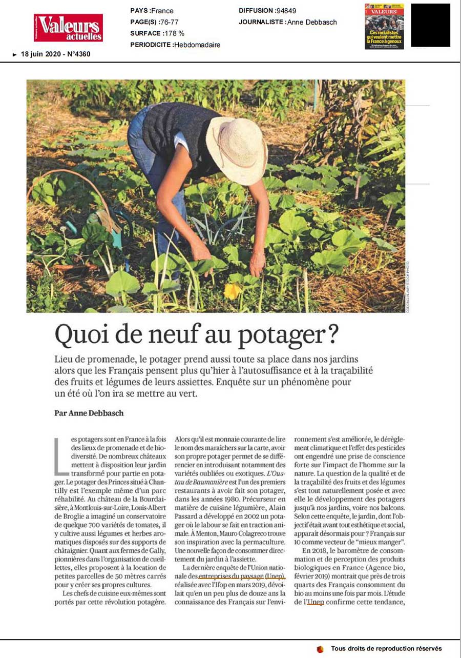 Quoi de neuf au potager ? page 1