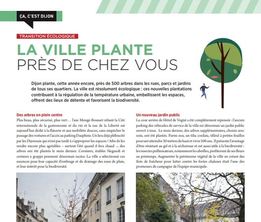 Dijon au vert
