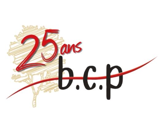 25 ans de création de jardins : l’histoire de BCP Paysagiste à Dijon