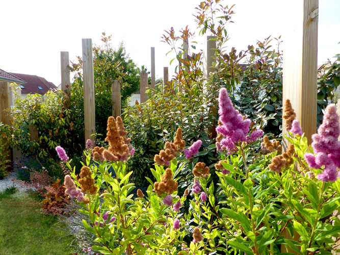 Design de jardin 1