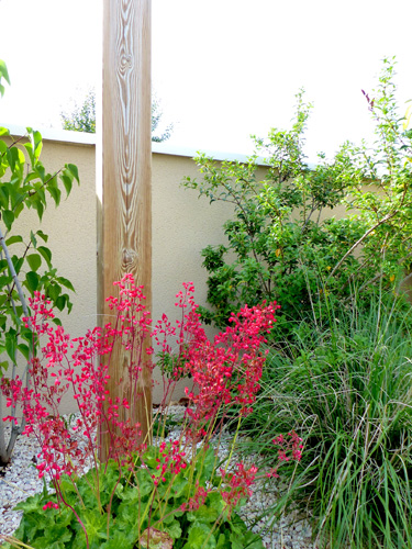Design de jardin 2