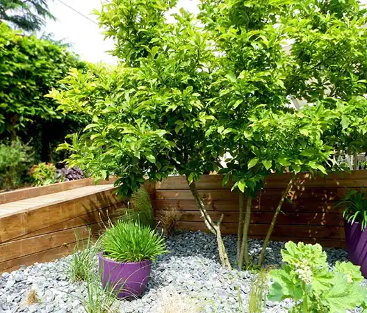 Photo Réalisation d'une terrasse surélevée en bois et accès PMR