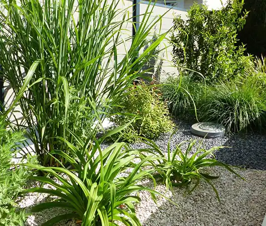 Photo Création d'un massif minéral aux abords d'une piscine