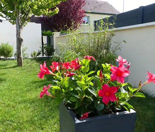 Photo Plantation et création de massifs