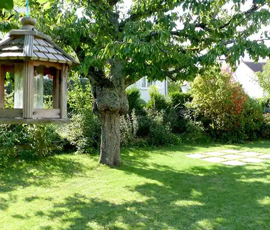 Photo Améangement de jardins à Dijon et en Bourgogne