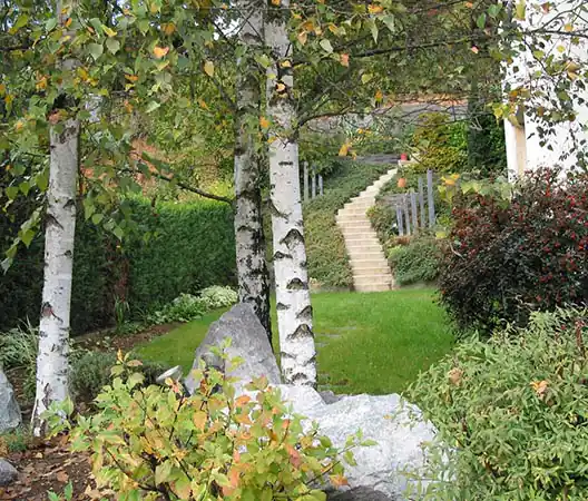 Photo Améangement de jardin en Bourgogne