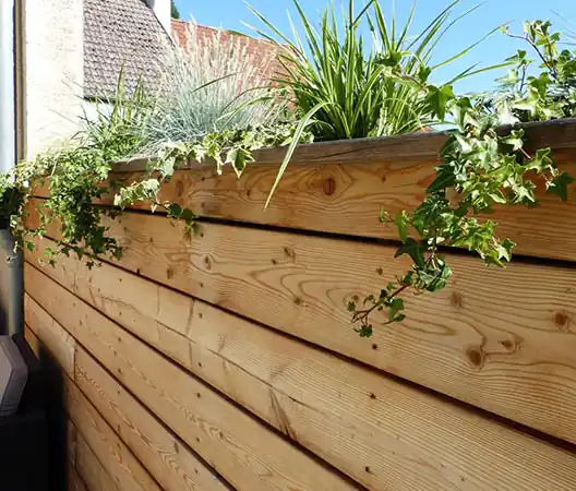 Photo Création de bacs en bois et plantation de végétaux