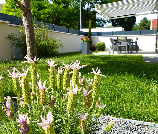Aménagements de jardins à Dijon, 2019 juillet 1