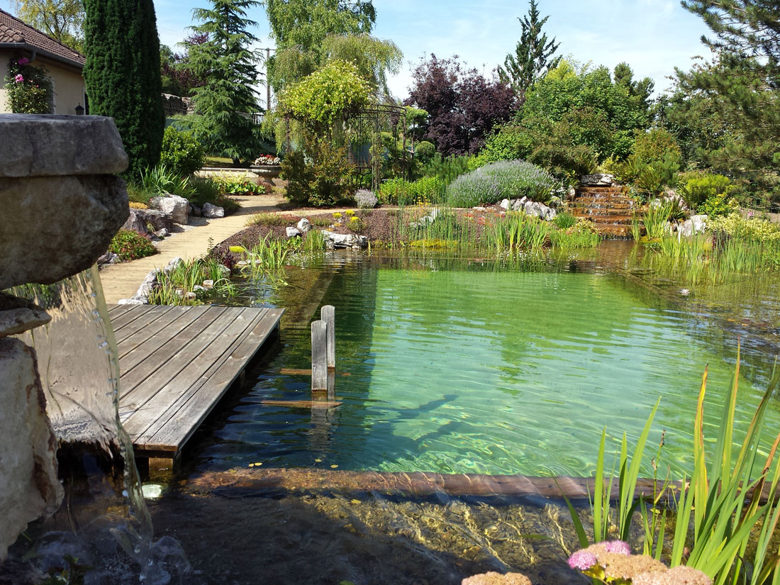 Bassin d'eau et piscine pour le baignade naturelle et écologique