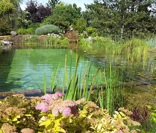 1 Photo Baignade naturelle et cascade en pierre