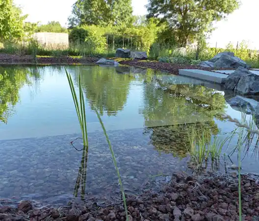 Photo Réalisation d'un bassin de baignade naturelle