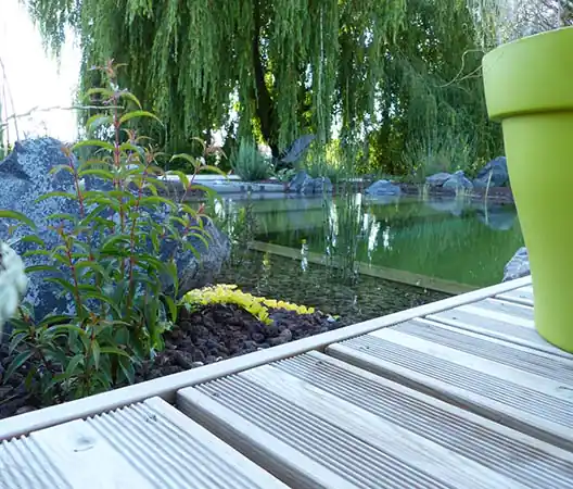 Photo Baignade naturelle et son espace de lagunage en Bourgogne