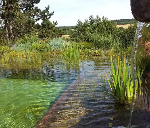 Photo Baignade naturelle en Bourgogne