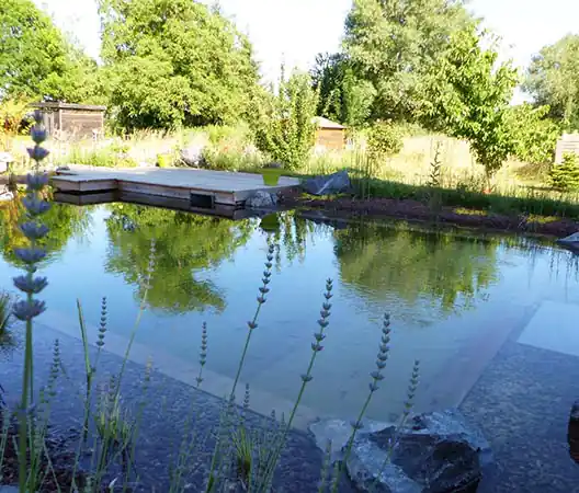 Photo Création d'un bassin de baignade naturelle et sa plage en bois