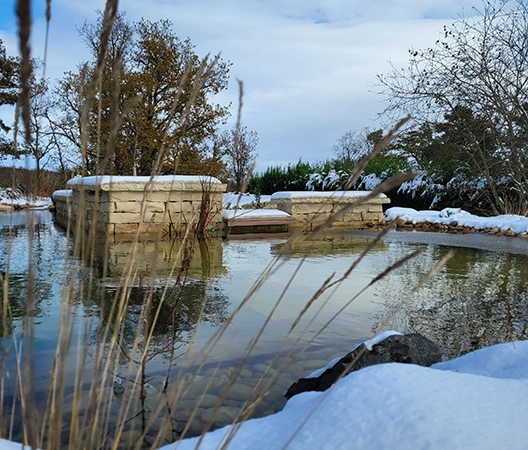 Baignade naturelle 2025-07-01 4