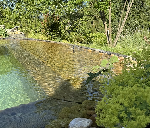 Baignade naturelle 2025-07-01 fontaine