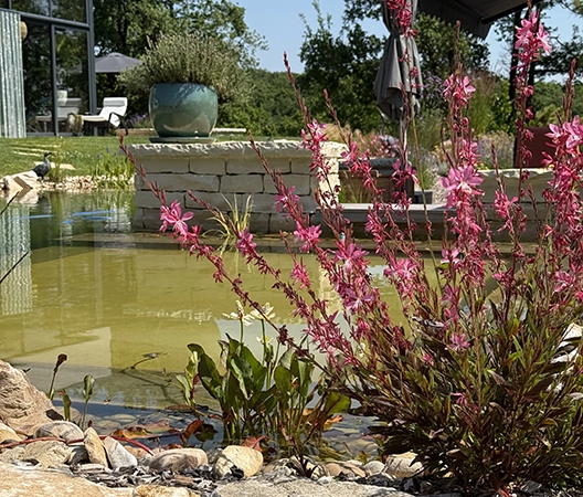 Baignade naturelle 2025-07-01 110