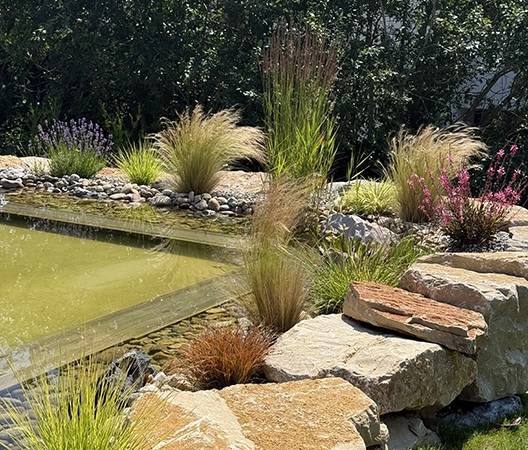 Baignade naturelle 2025-07-01 11