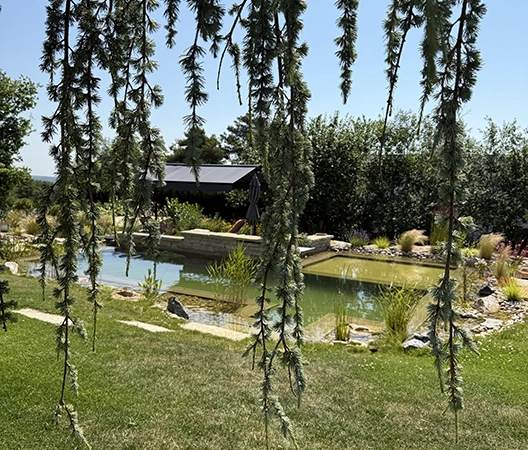 Baignade naturelle 2025-07-01 12