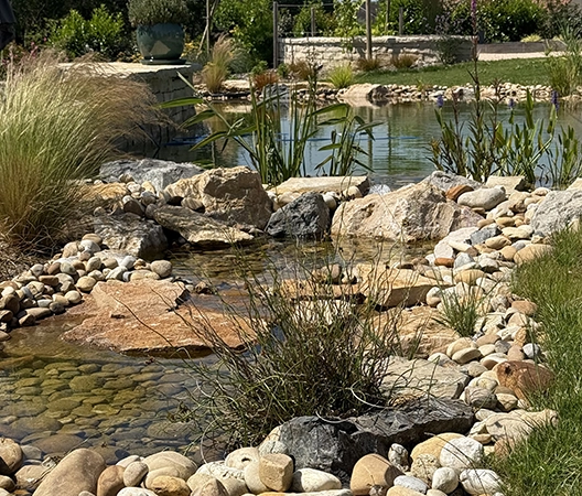 Baignade naturelle 2025-07-01 14