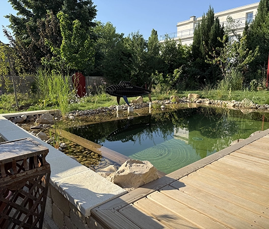 Baignade naturelle 2025-07-01 16