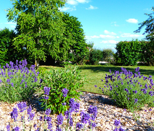 Jardin Hauteville-Lès-Dijon 10