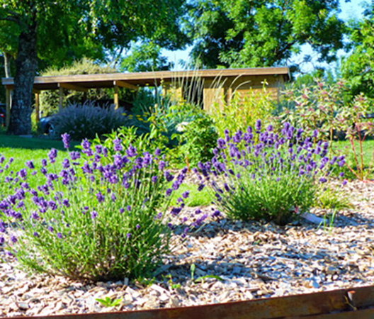 Jardin Hauteville-Lès-Dijon 11