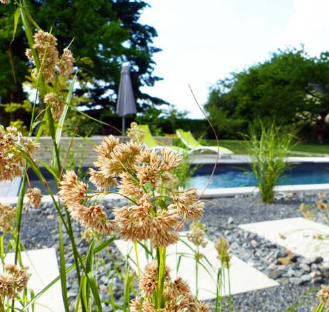 Aménagement de jardin autour de la piscine 14