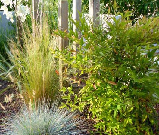 Jardin convivial et verdoyant à Dijon 25