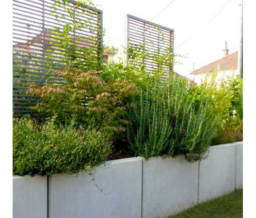 Jardin convivial et verdoyant à Dijon 27