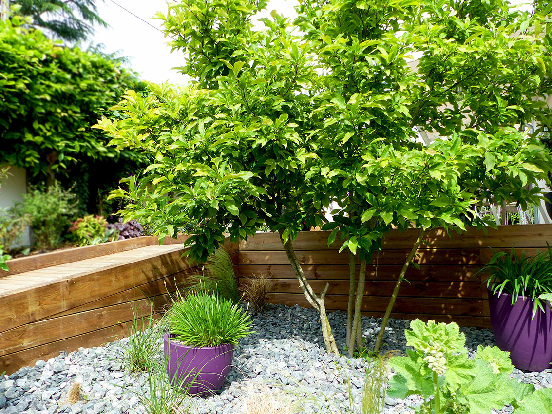 Jardin avec terrasse