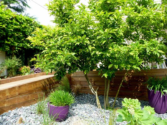 Aménagement d'une terrasse et de ses abords à Dijon