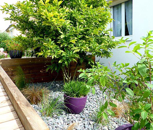 jardin avec terrasse en bois 3