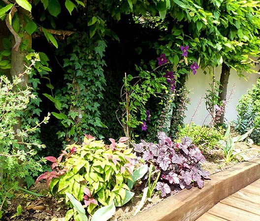 jardin avec terrasse en bois, photo 6