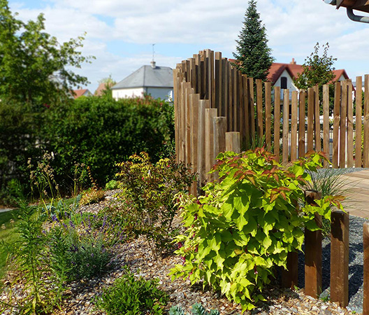 Revalorisation d'un jardin à Dijon, août 2018, 7