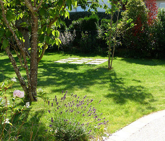 Revalorisation d'un jardin à Dijon, août 2018, 14